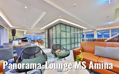 Panorama-Lounge MS Amina