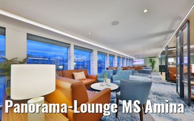 Panorama-Lounge MS Amina