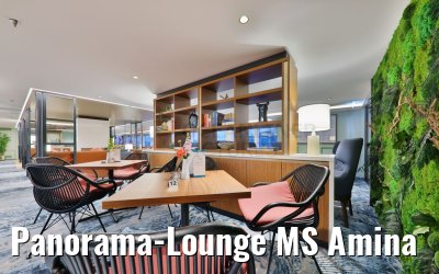 Panorama-Lounge MS Amina
