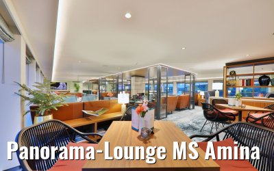 Panorama-Lounge MS Amina