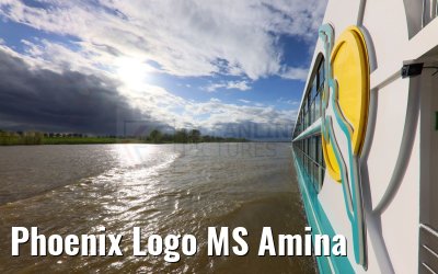 Phoenix Logo MS Amina