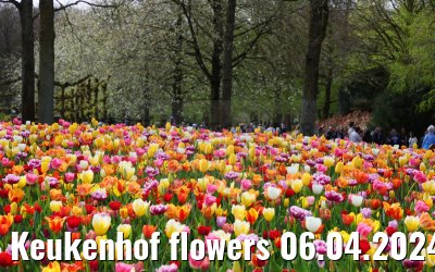 Keukenhof flowers 06.04.2024