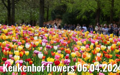 Keukenhof flowers 06.04.2024