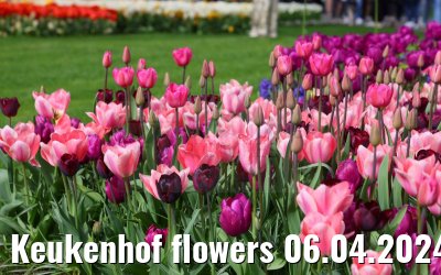 Keukenhof flowers 06.04.2024