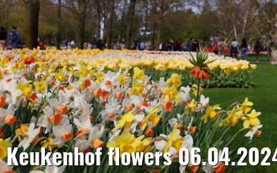 Keukenhof flowers 06.04.2024