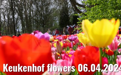 Keukenhof flowers 06.04.2024