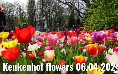 Keukenhof flowers 06.04.2024