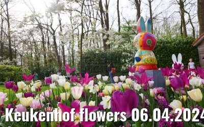 Keukenhof flowers 06.04.2024