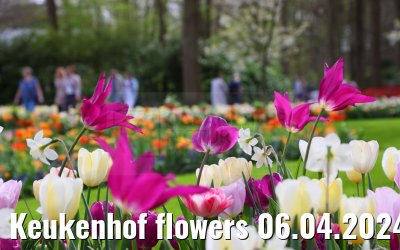 Keukenhof flowers 06.04.2024