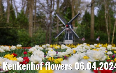 Keukenhof flowers 06.04.2024