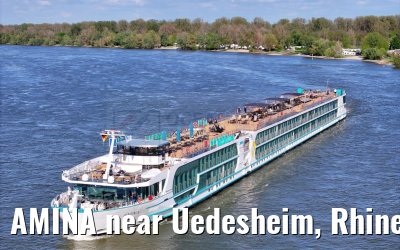 AMINA near Uedesheim, Rhine river 10.04.2024