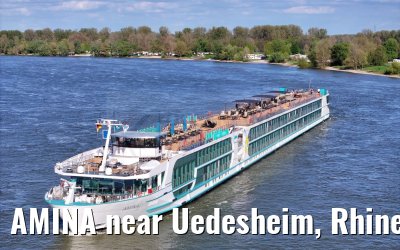 AMINA near Uedesheim, Rhine river 10.04.2024