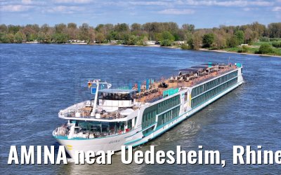 AMINA near Uedesheim, Rhine river 10.04.2024