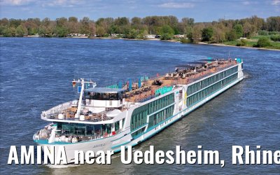 AMINA near Uedesheim, Rhine river 10.04.2024