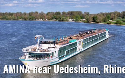 AMINA near Uedesheim, Rhine river 10.04.2024
