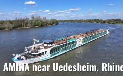 AMINA near Uedesheim, Rhine river 10.04.2024