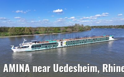 AMINA near Uedesheim, Rhine river 10.04.2024