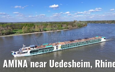 AMINA near Uedesheim, Rhine river 10.04.2024