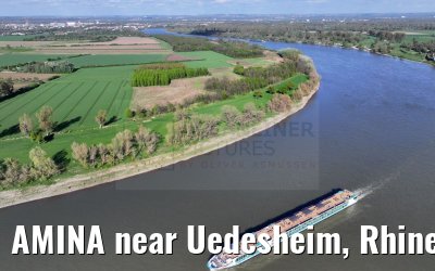 AMINA near Uedesheim, Rhine river 10.04.2024