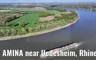 AMINA near Uedesheim, Rhine river 10.04.2024
