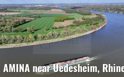 AMINA near Uedesheim, Rhine river 10.04.2024