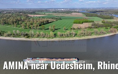 AMINA near Uedesheim, Rhine river 10.04.2024