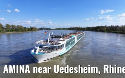 AMINA near Uedesheim, Rhine river 10.04.2024
