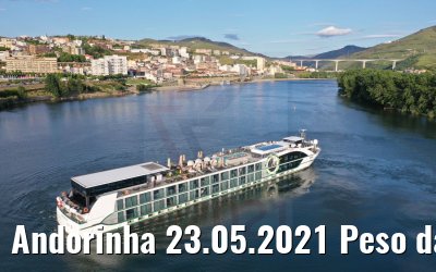 Andorinha 23.05.2021 Peso da Regua