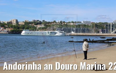 Andorinha an Douro Marina 22.05.2021