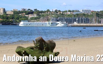 Andorinha an Douro Marina 22.05.2021