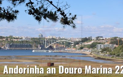 Andorinha an Douro Marina 22.05.2021