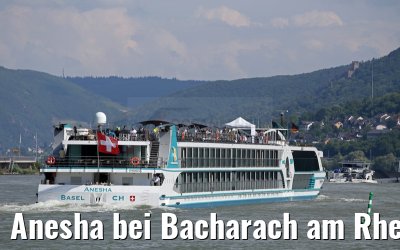 Anesha bei Bacharach am Rhein 27.06.2015
