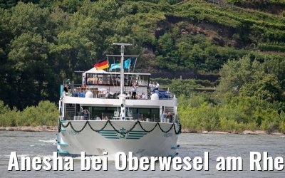 Anesha bei Oberwesel am Rhein 27.06.2015