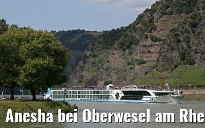 Anesha bei Oberwesel am Rhein 27.06.2015
