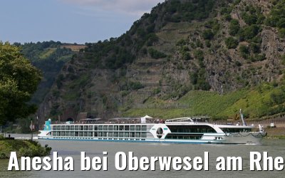 Anesha bei Oberwesel am Rhein 27.06.2015