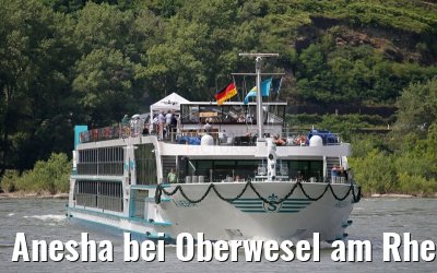 Anesha bei Oberwesel am Rhein 27.06.2015
