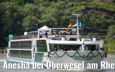Anesha bei Oberwesel am Rhein 27.06.2015