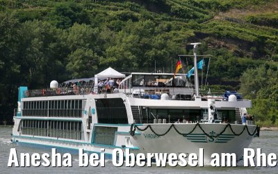 Anesha bei Oberwesel am Rhein 27.06.2015