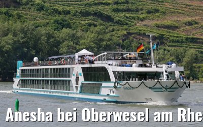 Anesha bei Oberwesel am Rhein 27.06.2015