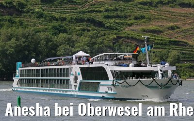 Anesha bei Oberwesel am Rhein 27.06.2015