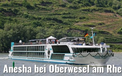 Anesha bei Oberwesel am Rhein 27.06.2015