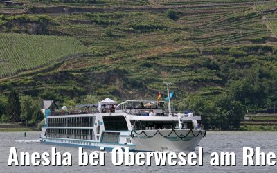 Anesha bei Oberwesel am Rhein 27.06.2015