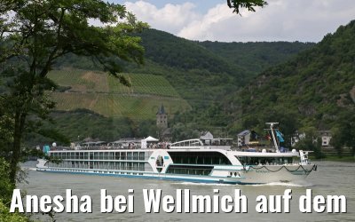 Anesha bei Wellmich auf dem Rhein 27.06.2015