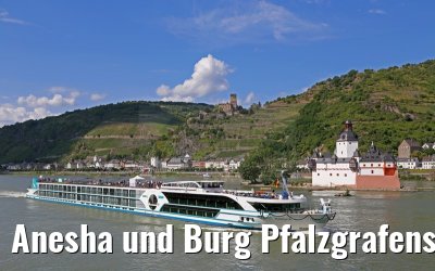 Anesha und Burg Pfalzgrafenstein am Rhein 27.06.2015