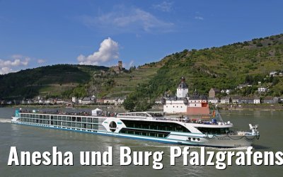 Anesha und Burg Pfalzgrafenstein am Rhein 27.06.2015
