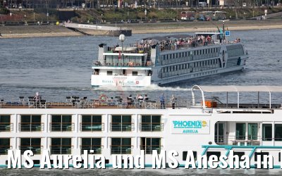 MS Aurelia und MS Anesha in Köln 31.03.2017