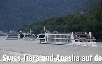 Swiss Tiara und Anesha auf dem Rhein 27.06.2015
