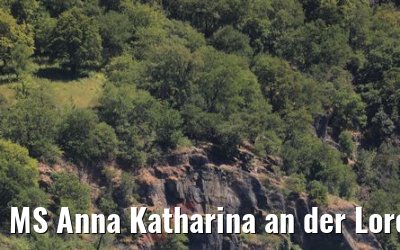 MS Anna Katharina an der Loreley 29.06.2019