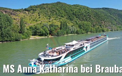 MS Anna Katharina bei Braubacu 29.06.2019