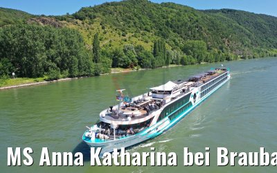 MS Anna Katharina bei Braubacu 29.06.2019